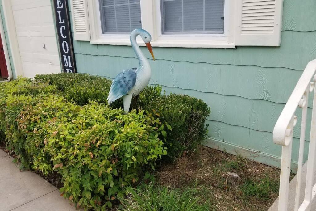 Blue Flamingo'S Charming Home-Heart Of Tulsa2- Cherry St-Expo-11Th Luaran gambar